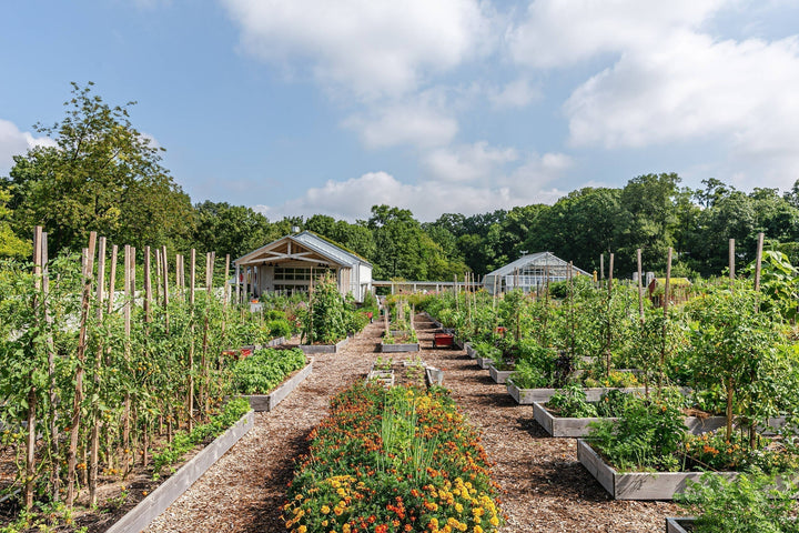 Edible Academy at the New York Botanical Garden