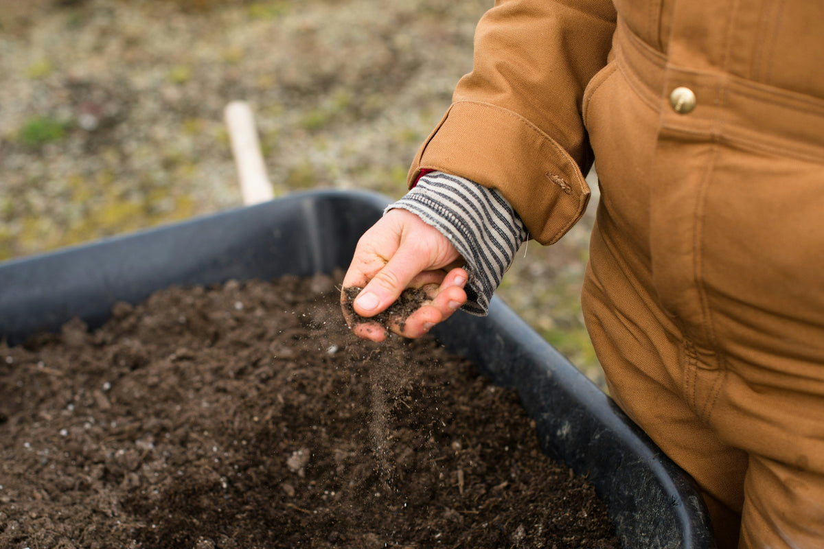 Gardening 101: Understanding Your Soil Type