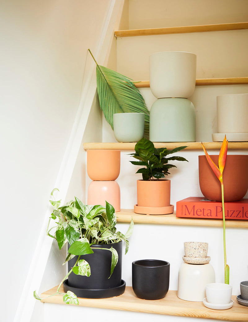 Planters