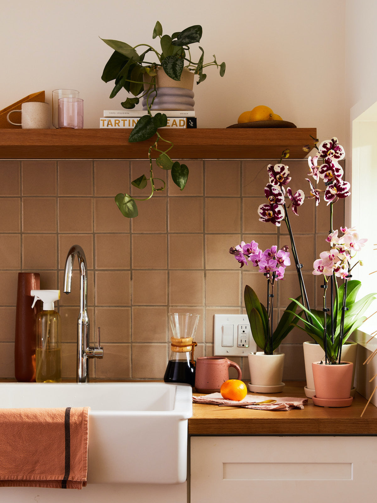 Classic Orchid Party Pack