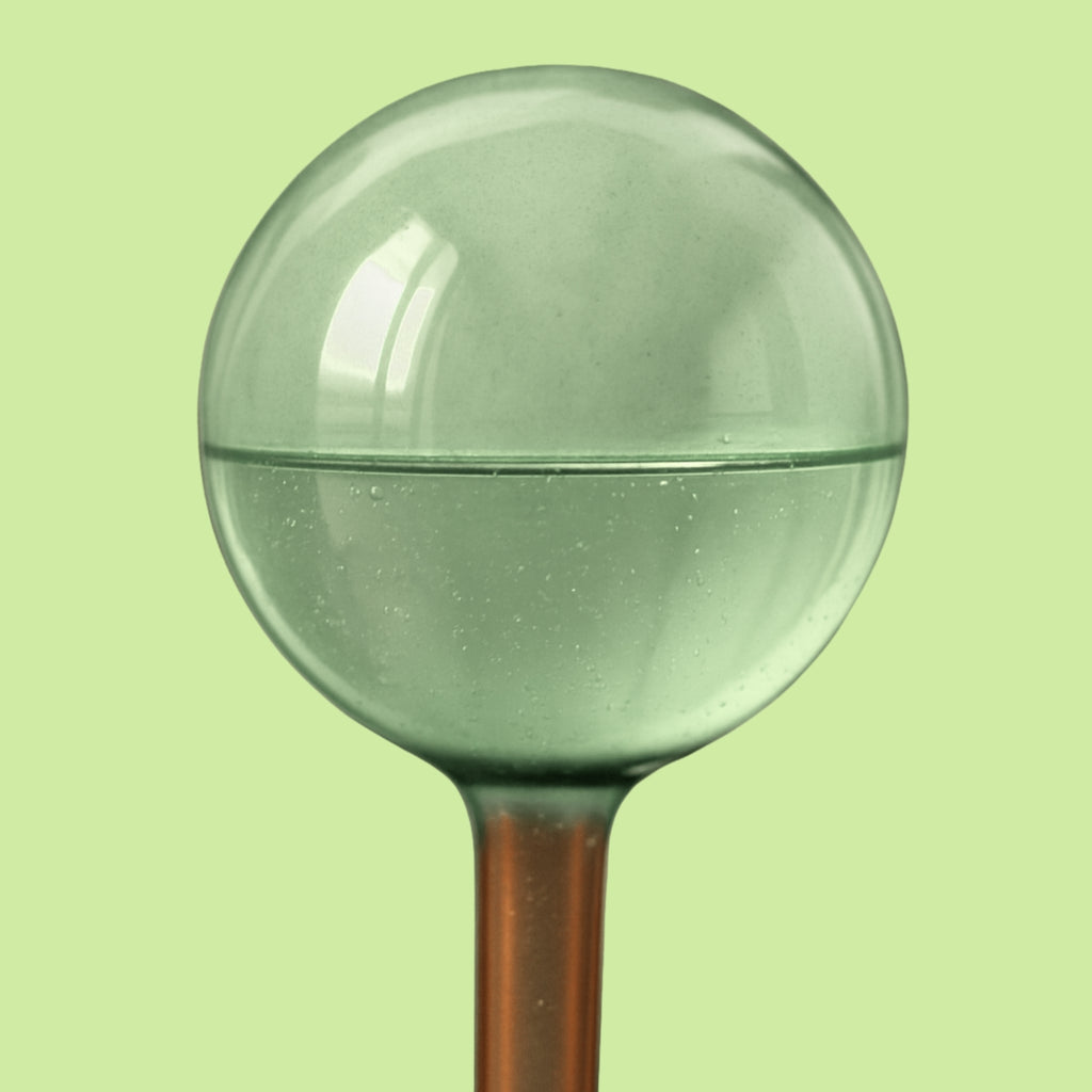 Self Watering Plant Globes