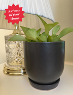 Westcott Ceramic Planter