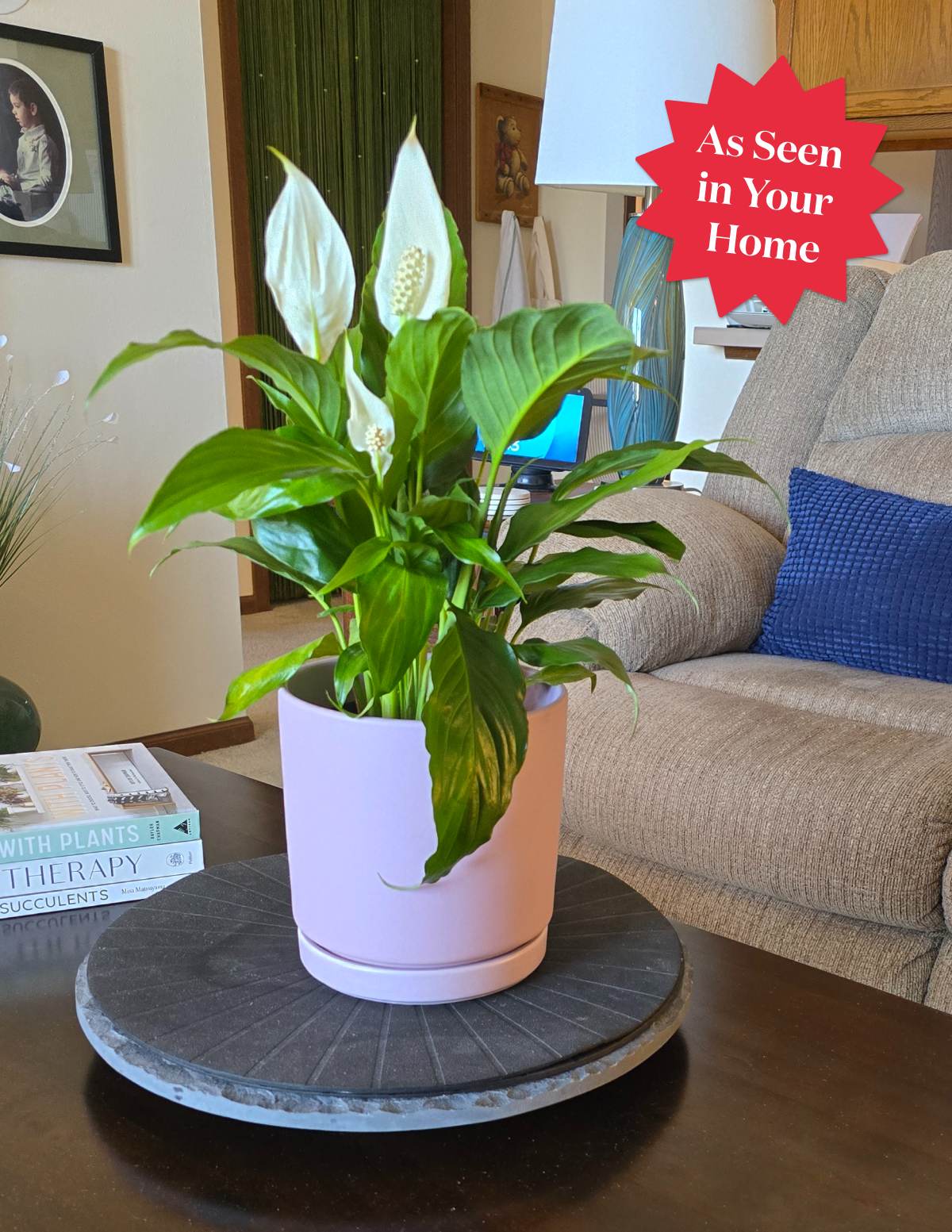 Peace Lily