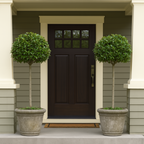 English Laurel Topiary