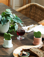 Heartleaf Philodendron Hanging Basket
