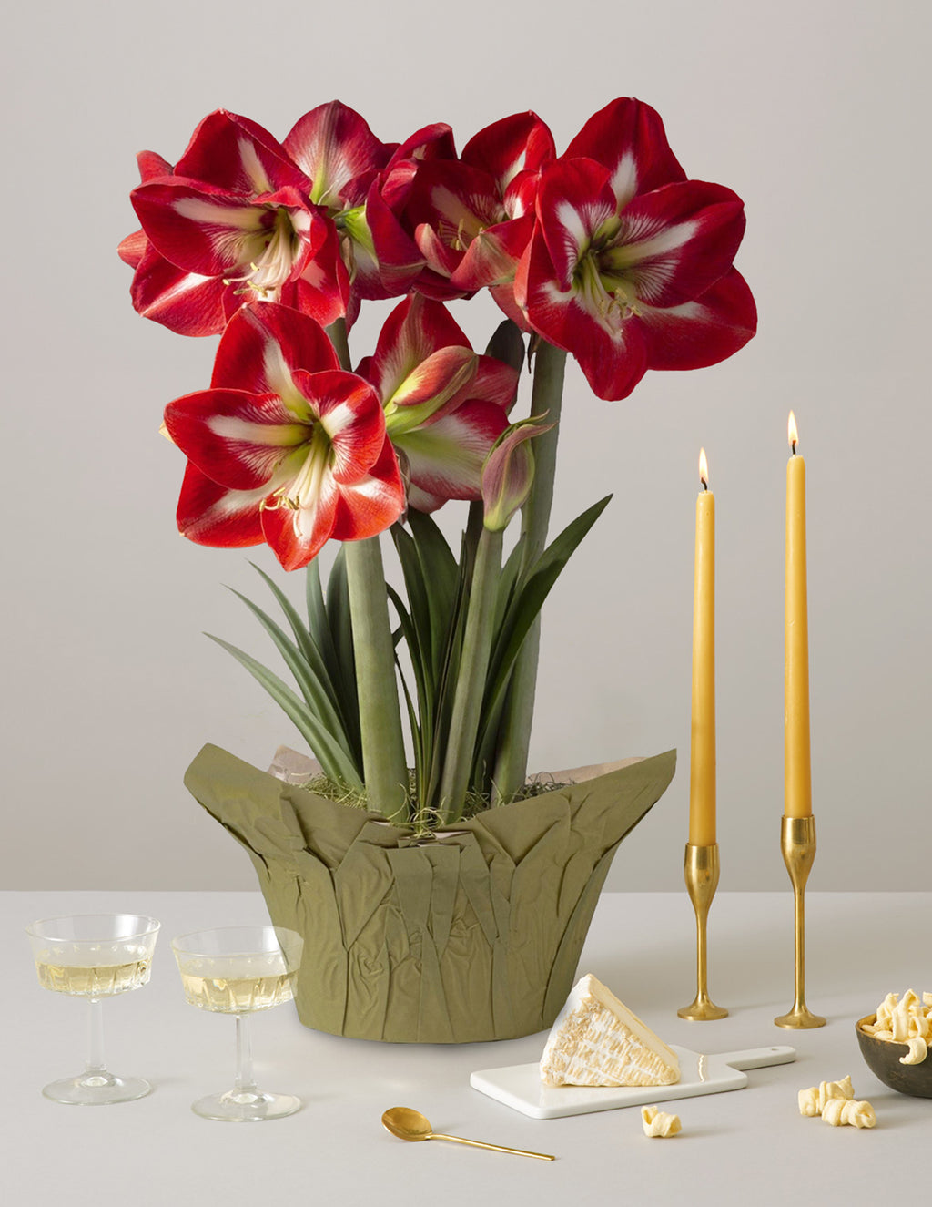 bundle | Trio | Red and White