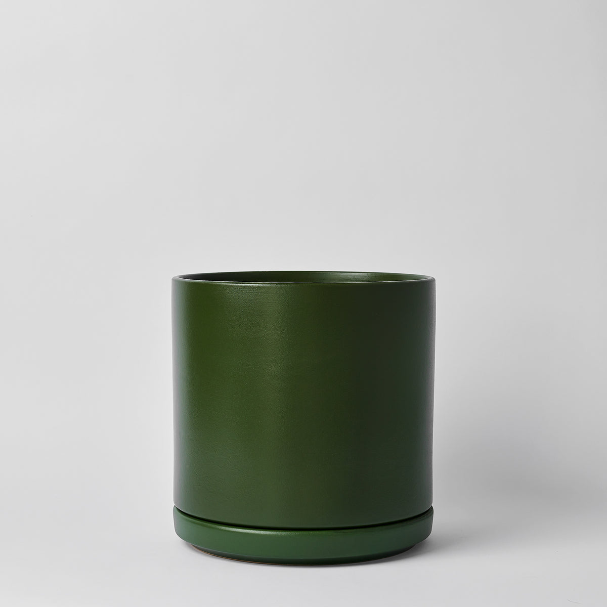 bundle | Forest Green | 12-inch