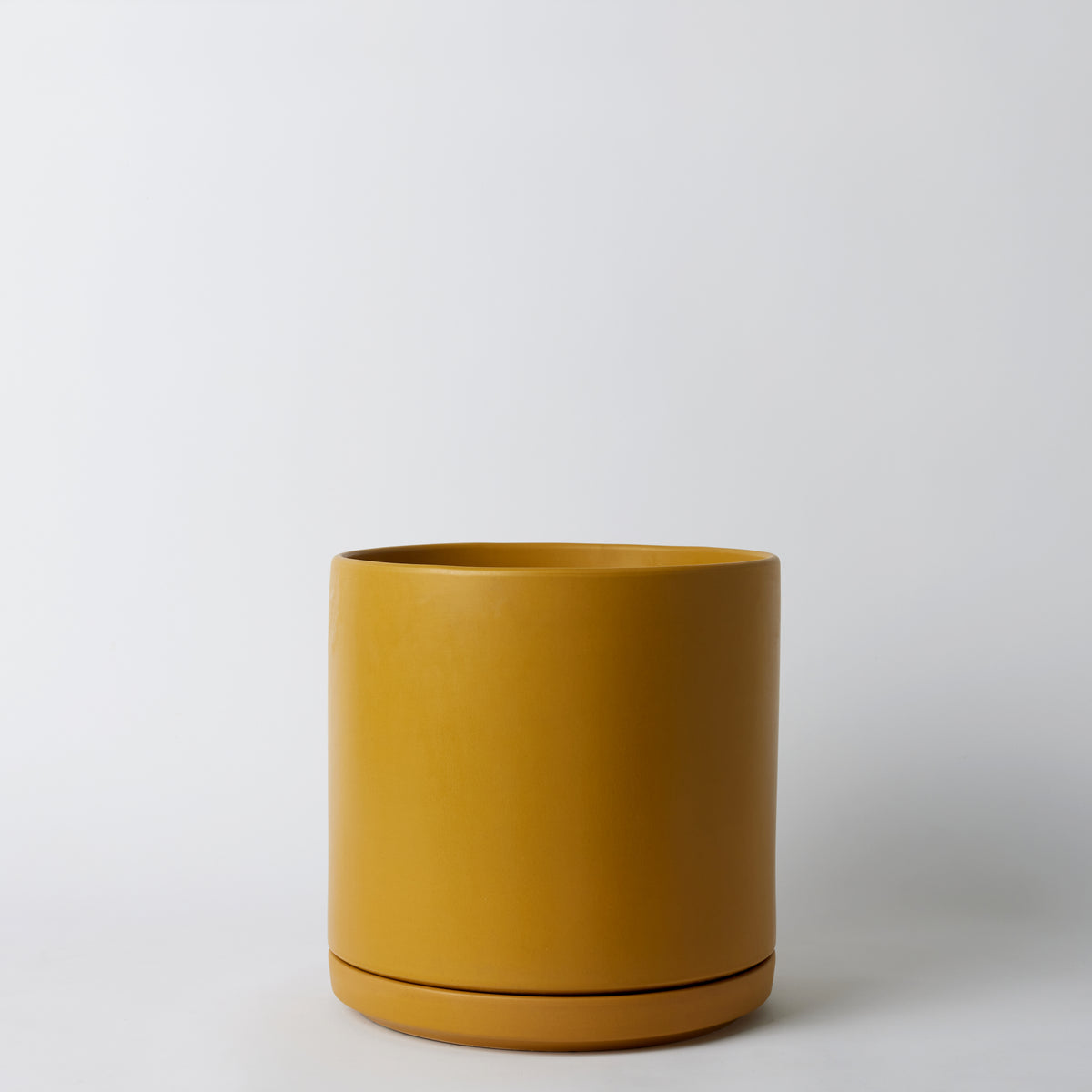 bundle | Mustard | 12-inch