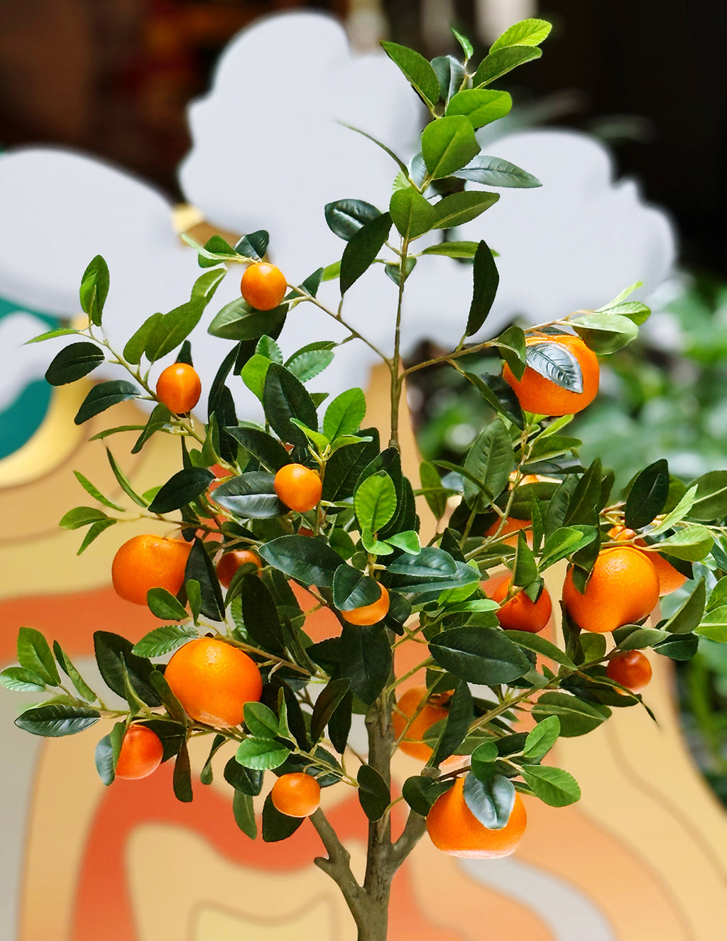 Clementine Mandarin Tree