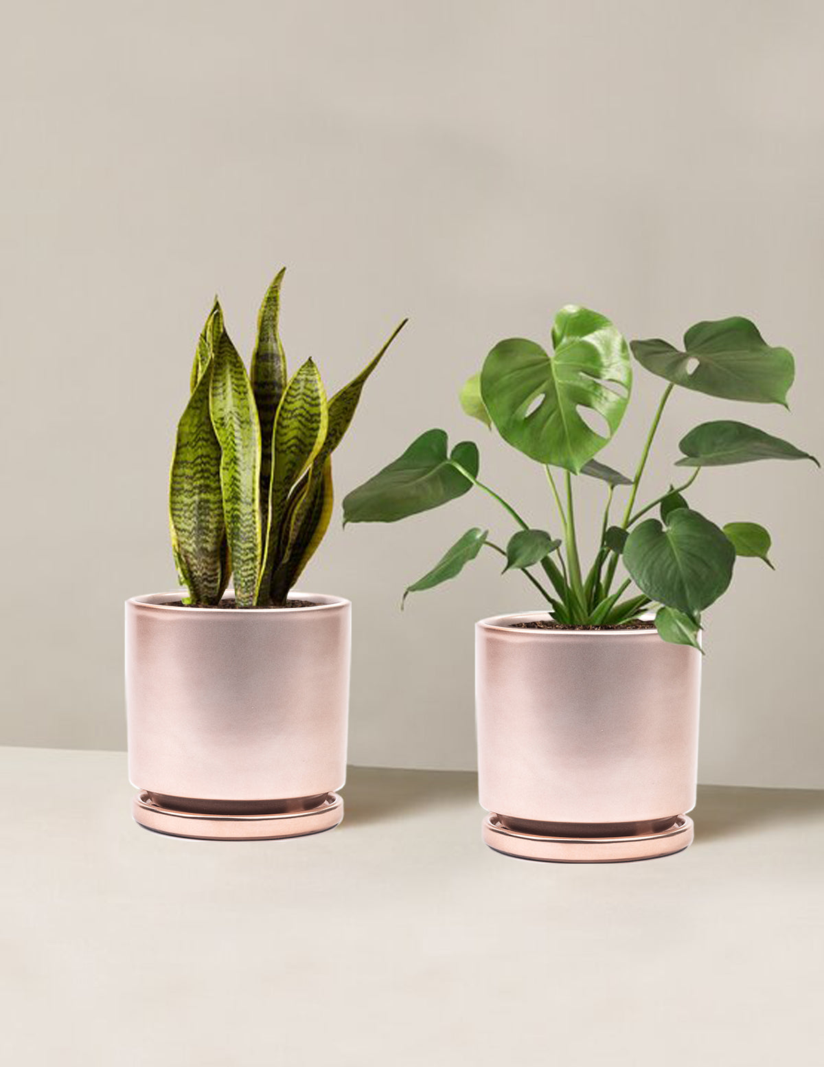 bundle | Medium | Isabella | Rose Gold