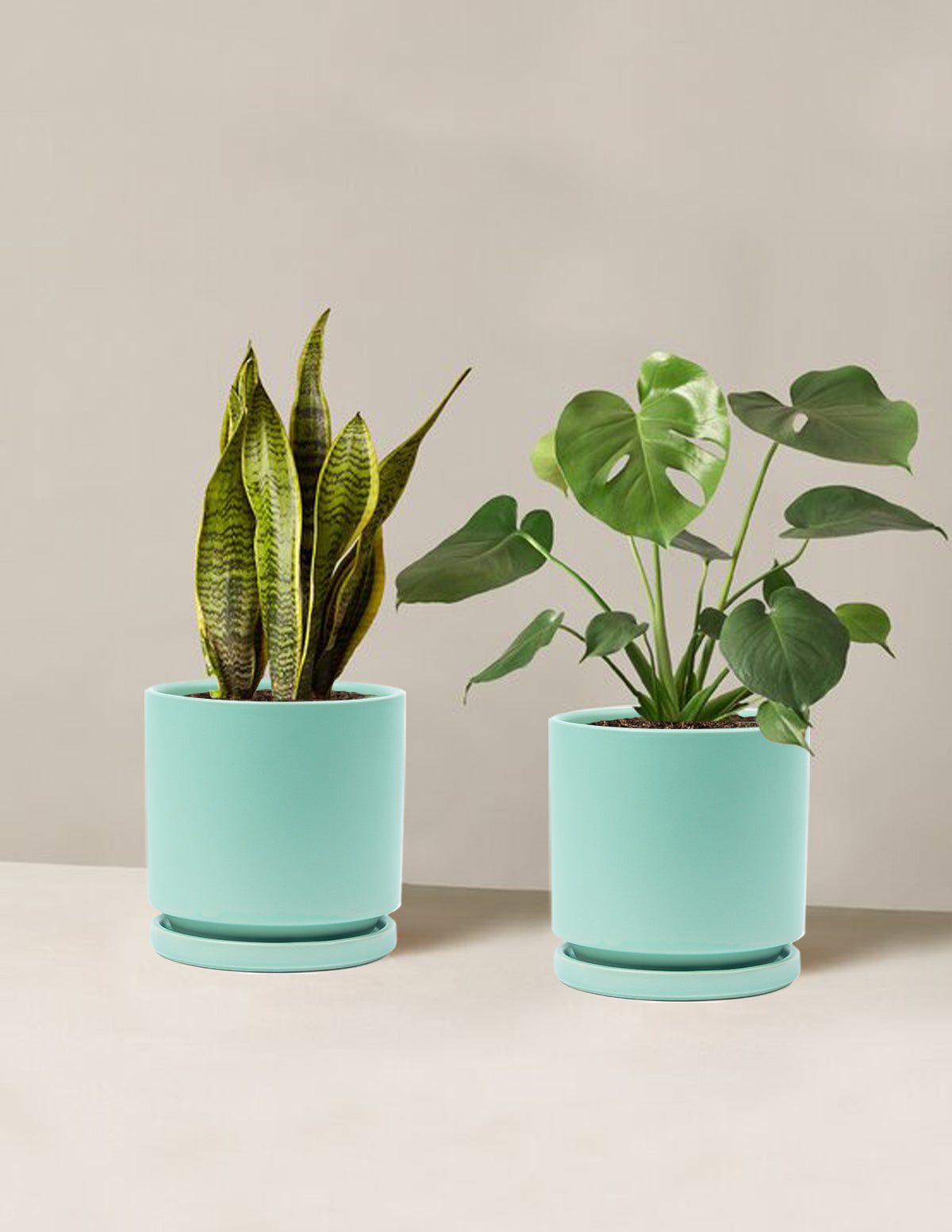 bundle | Medium | Isabella | Sea Glass