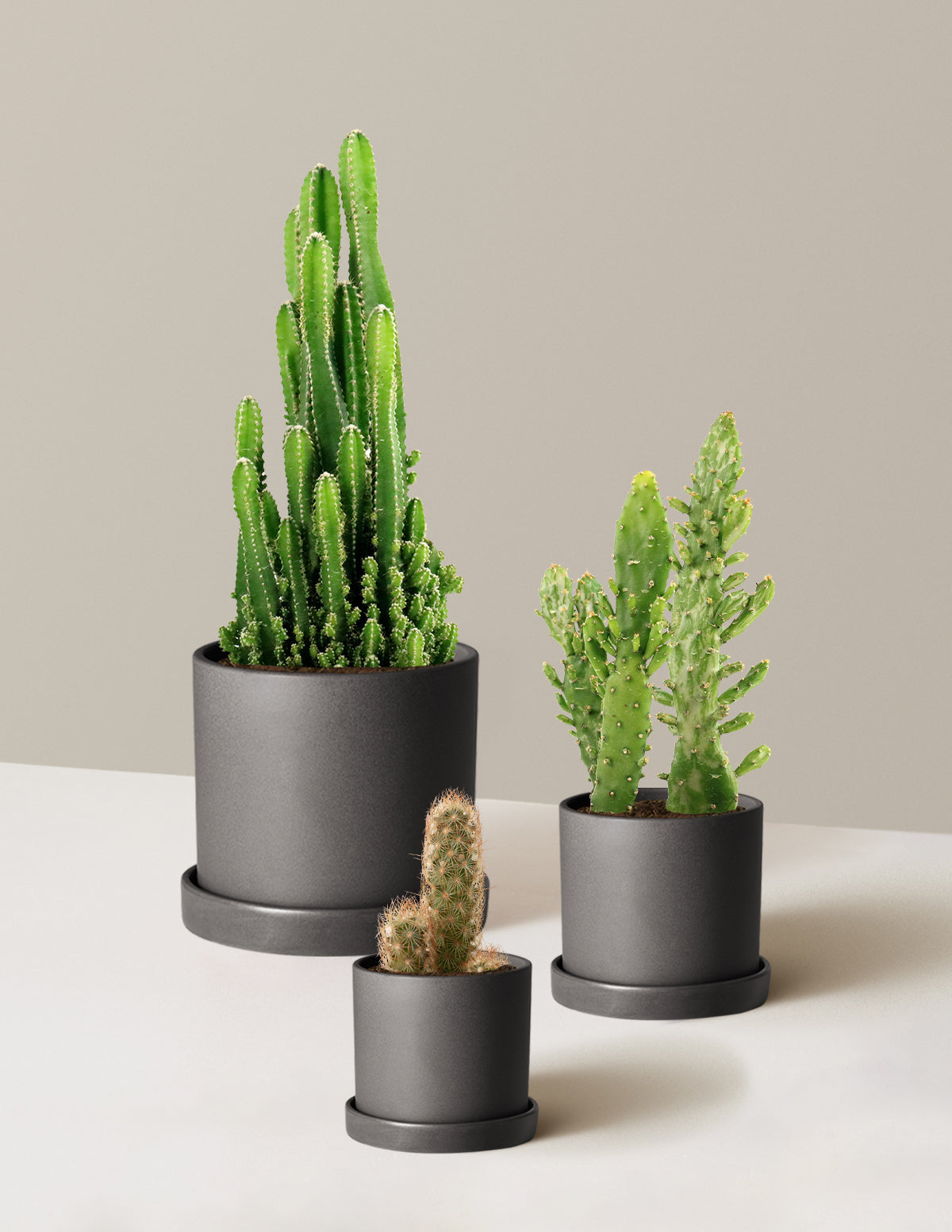 bundle | Multi | Hyde | Black