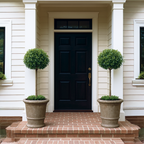 English Laurel Topiary (Single Ball)