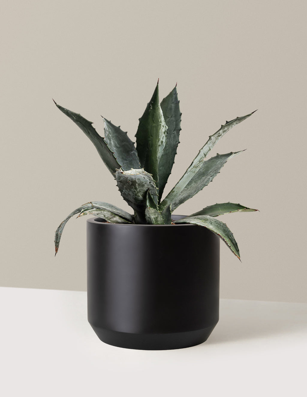 bundle | 3 Gallon | Mexia | Black