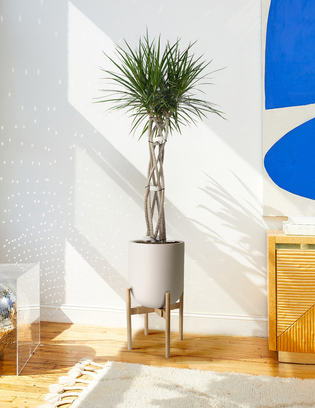 Statement Maker Duo