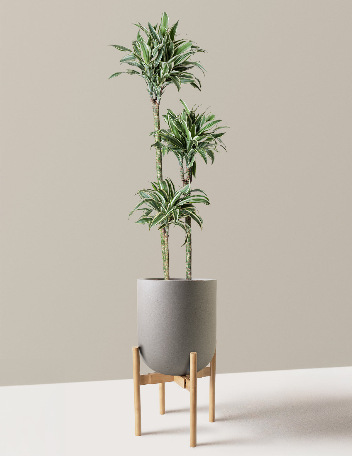bundle | Large | Pallas | Cement Grey