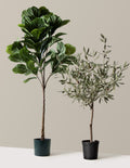 bundle | Large | Base | Black