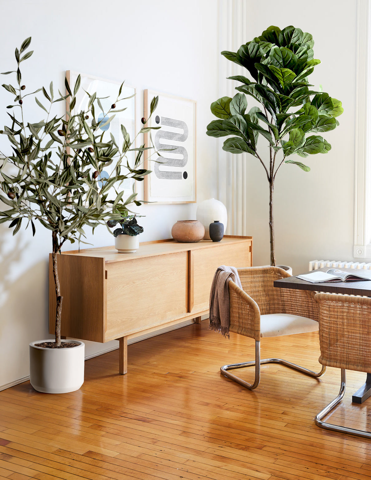 files/the-sill_Large-Faux-Iconic-Trees-Duo_Large-Mexia-Gallery.jpg