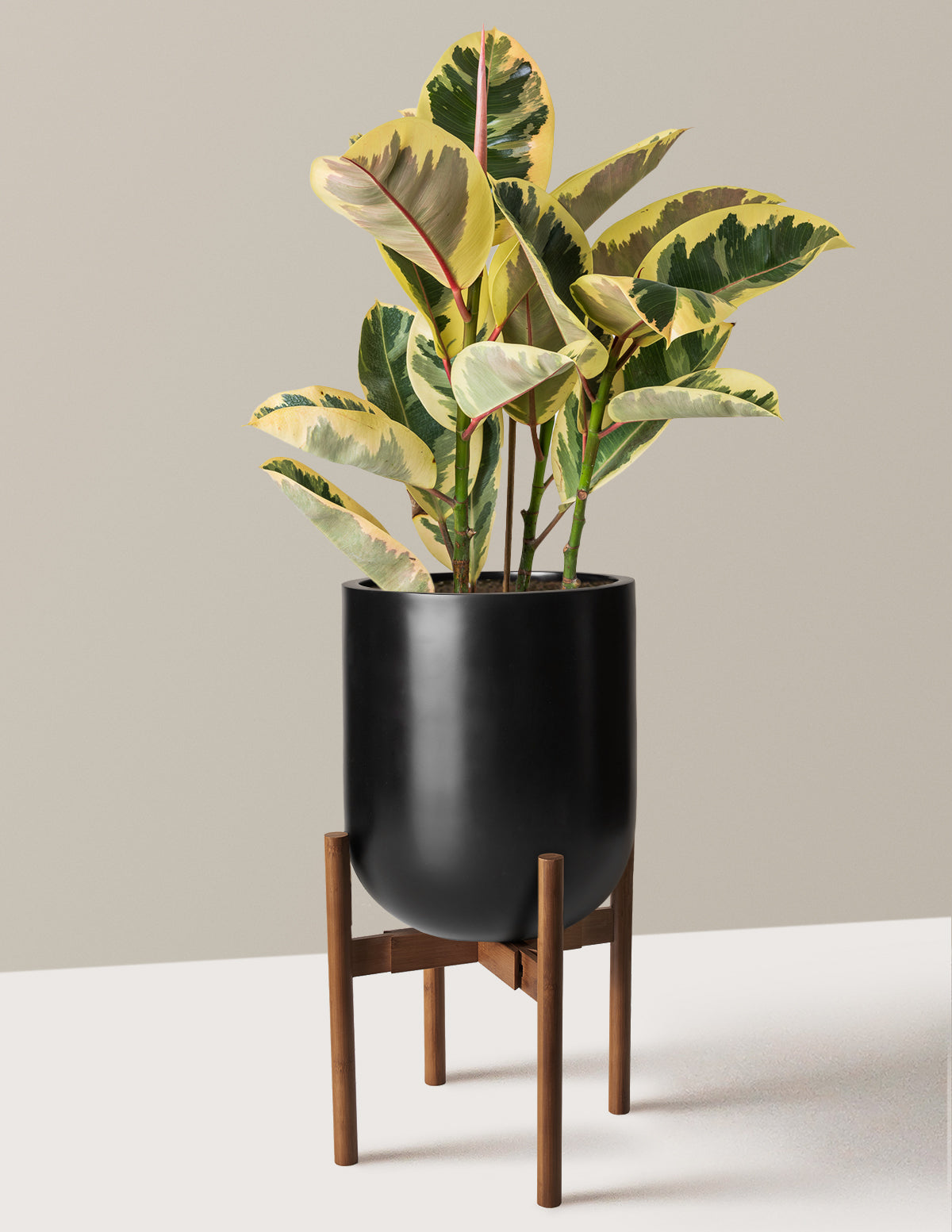 bundle | Large | Pallas | Black
