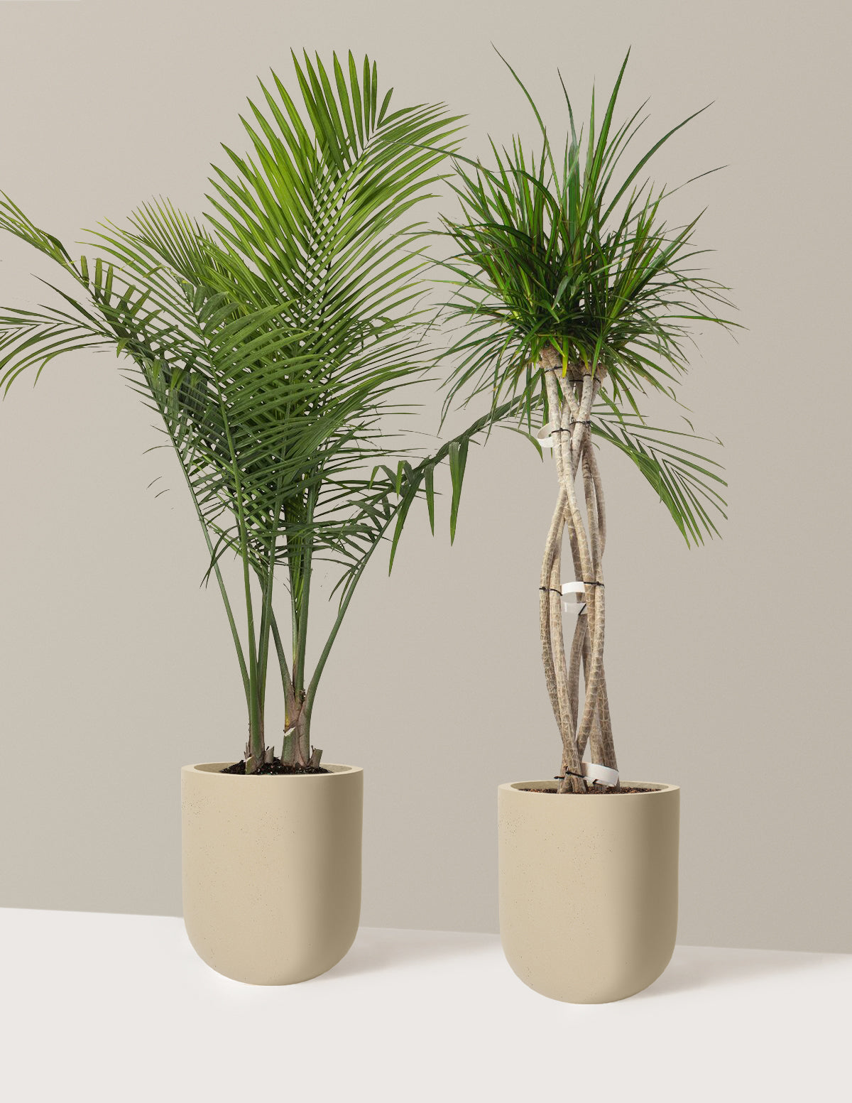 Luxe Grove Duo