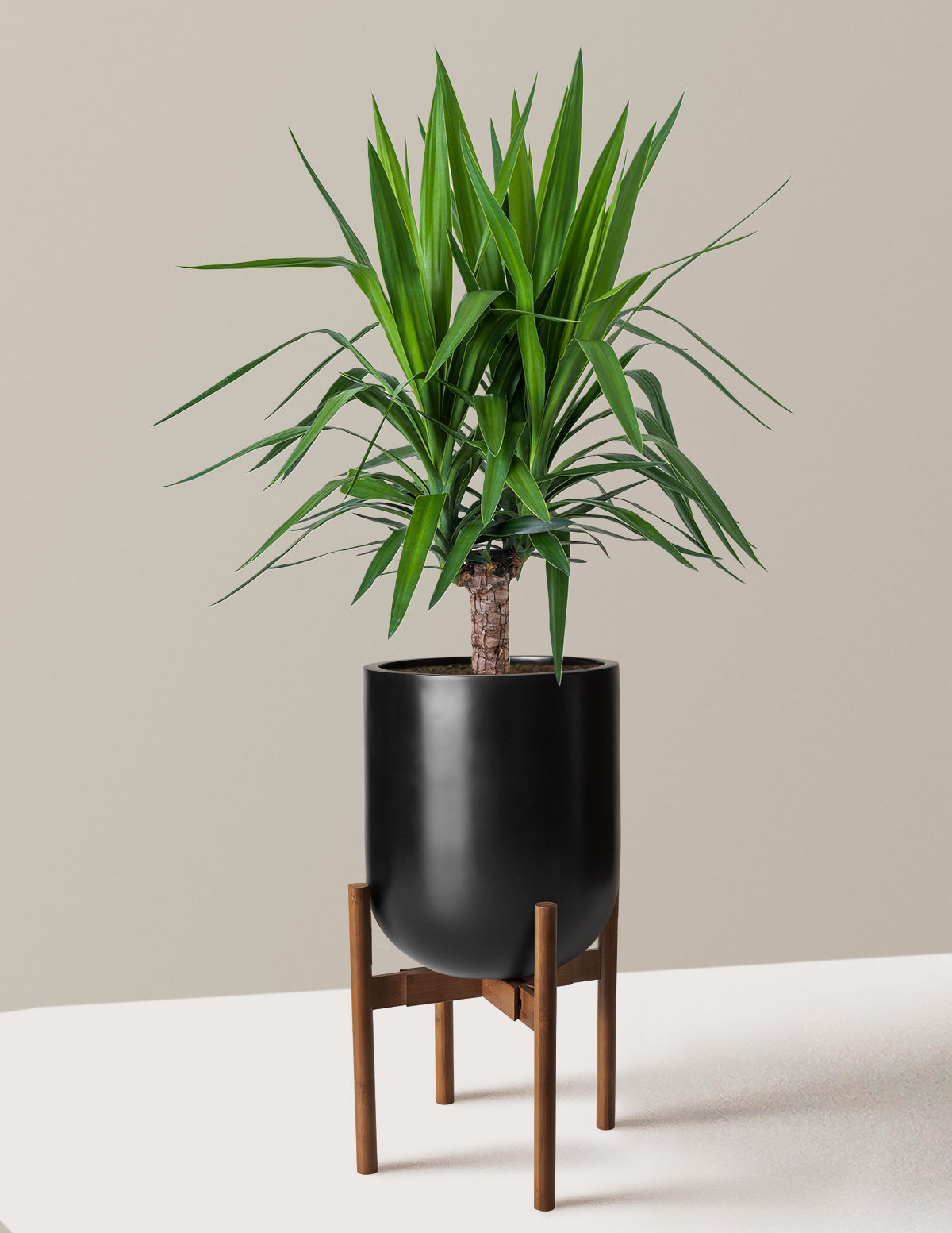 bundle | Large Single | Pallas | Black