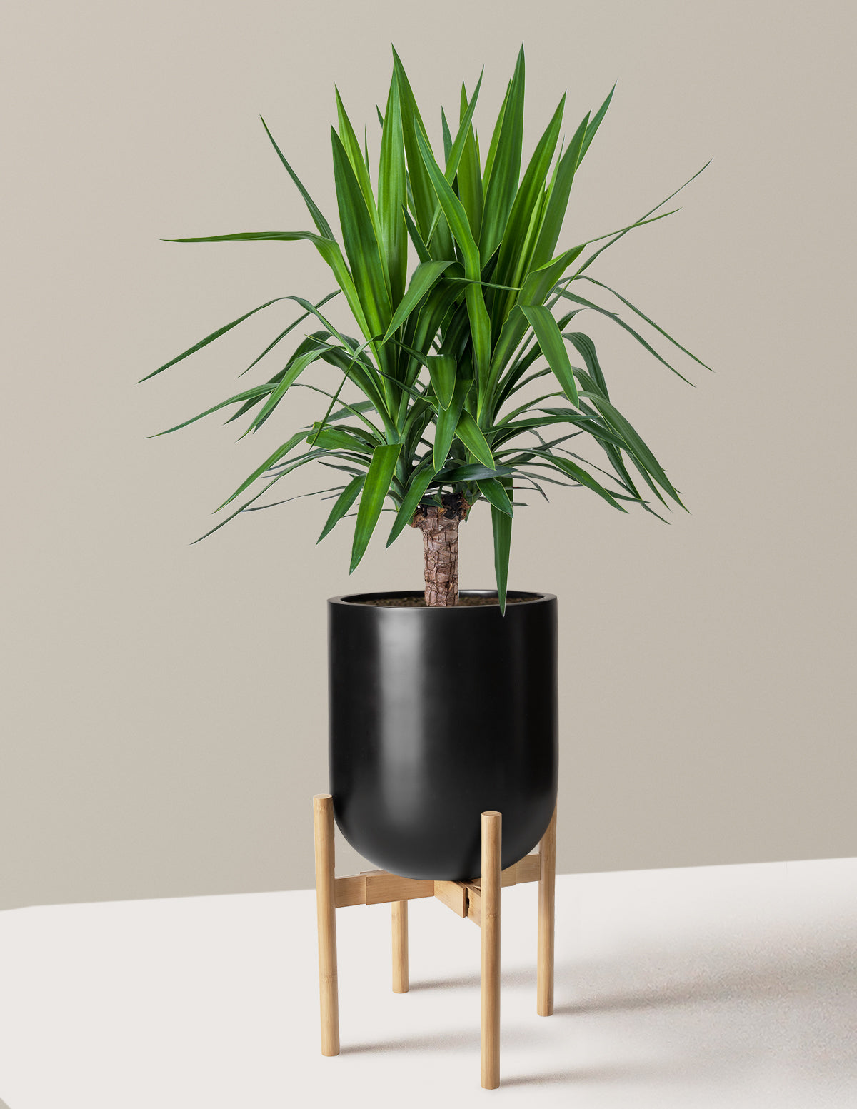 bundle | Large Single | Pallas | Black