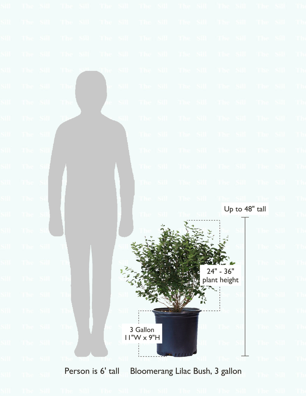 size-guide
