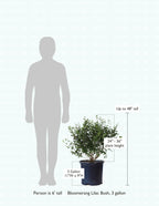 size-guide
