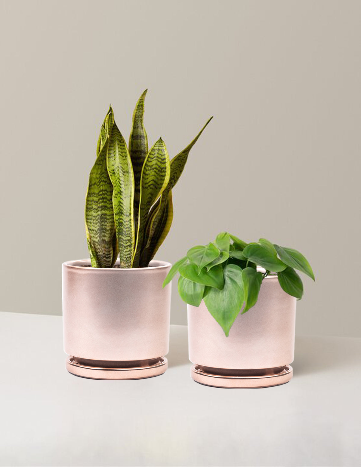 bundle | Medium | Isabella | Rose Gold