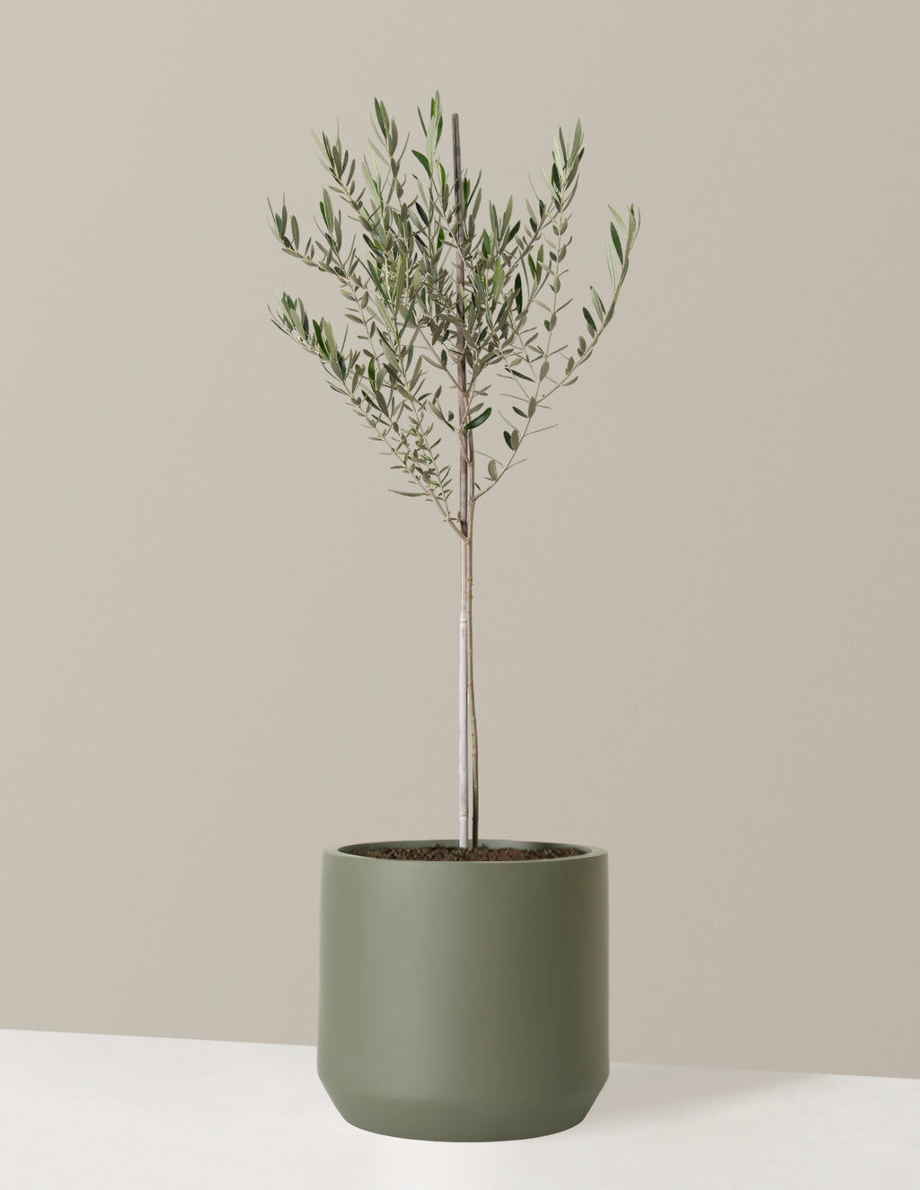 bundle | Extra Large | Mexia | Sage