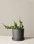 bundle | Medium | Hyde | Black
