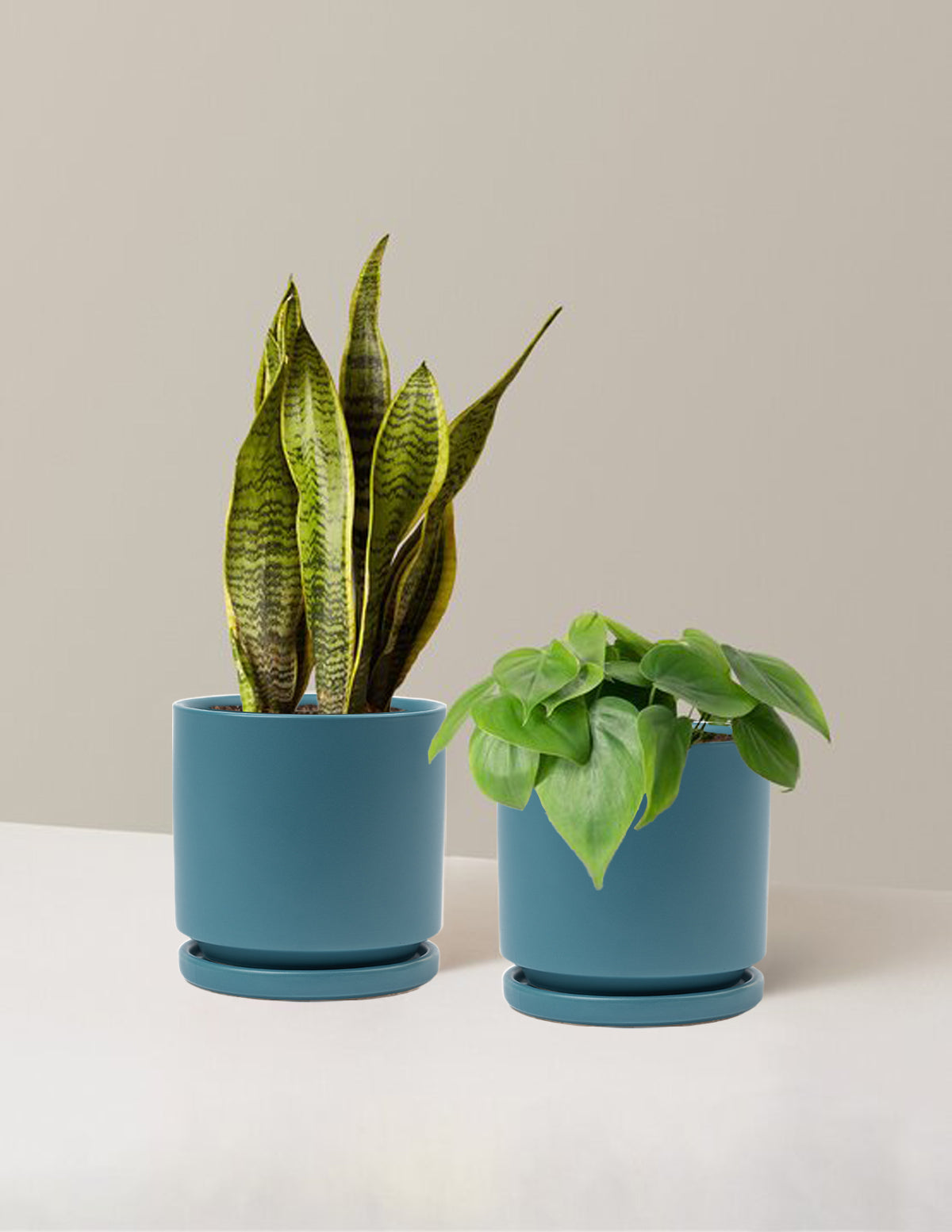 bundle | Medium | Isabella | Antique Teal