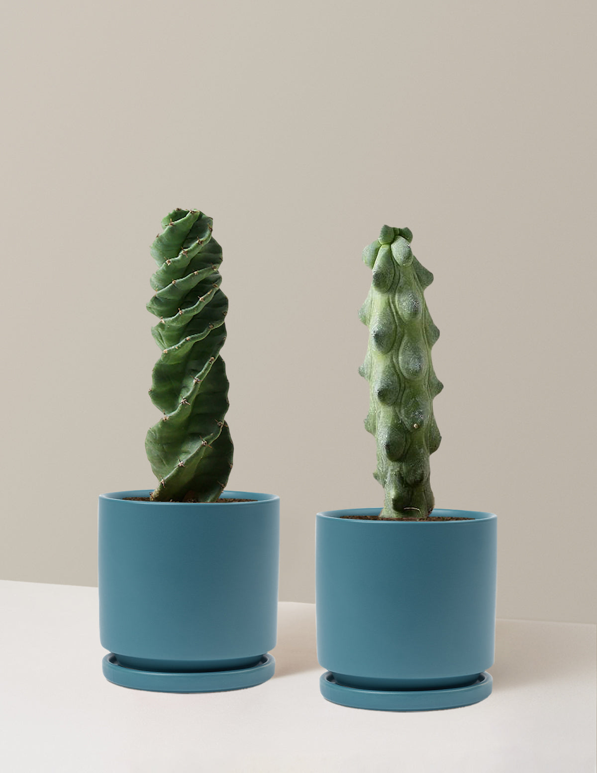 bundle | Medium | Isabella | Antique Teal