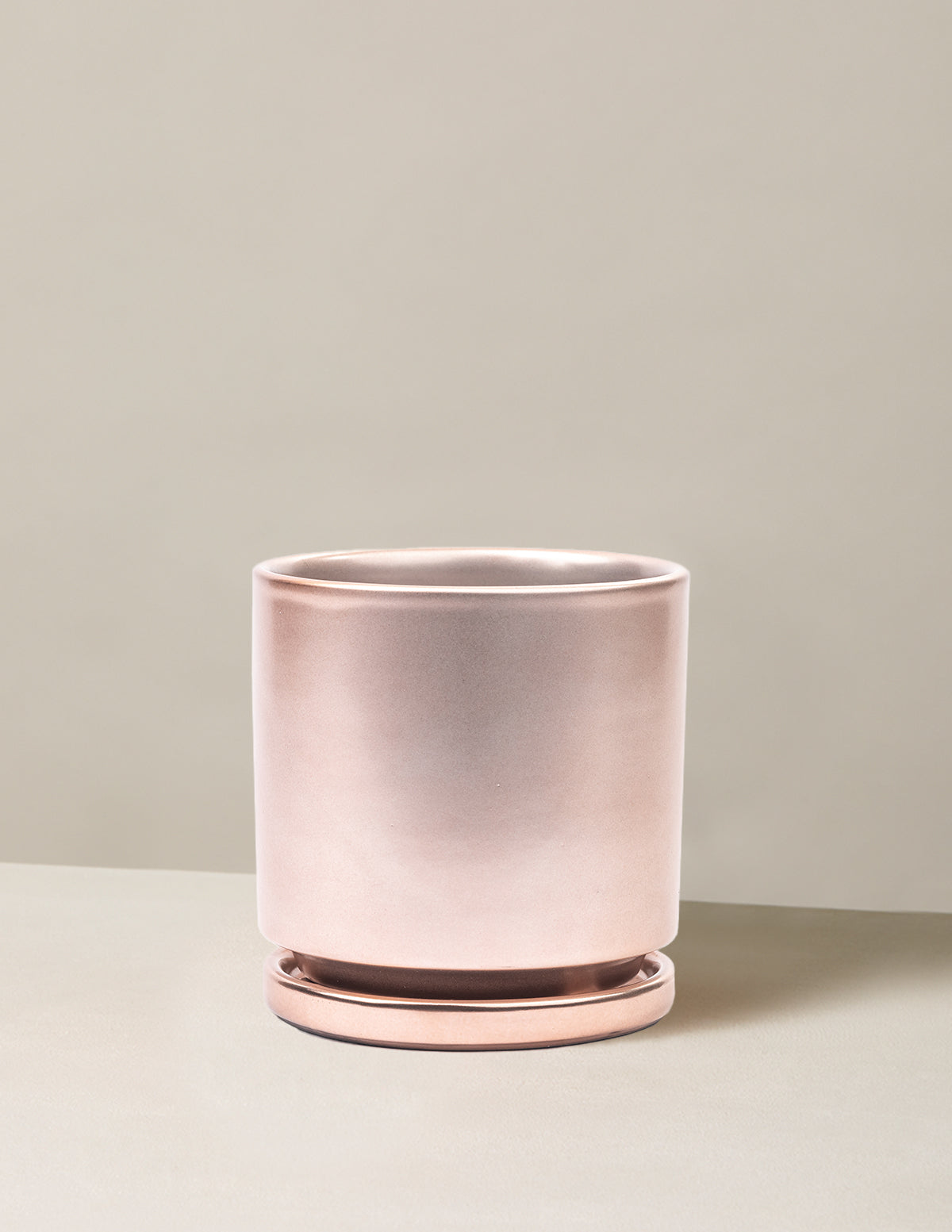 bundle | Rose Gold