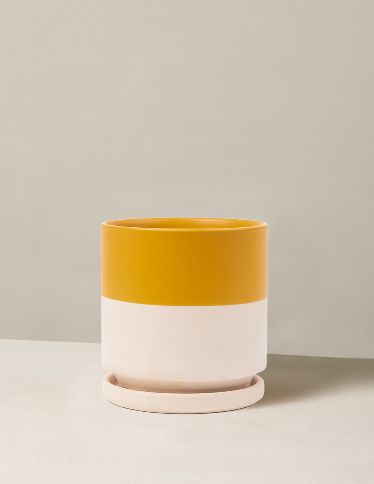 bundle | Top Half Mustard