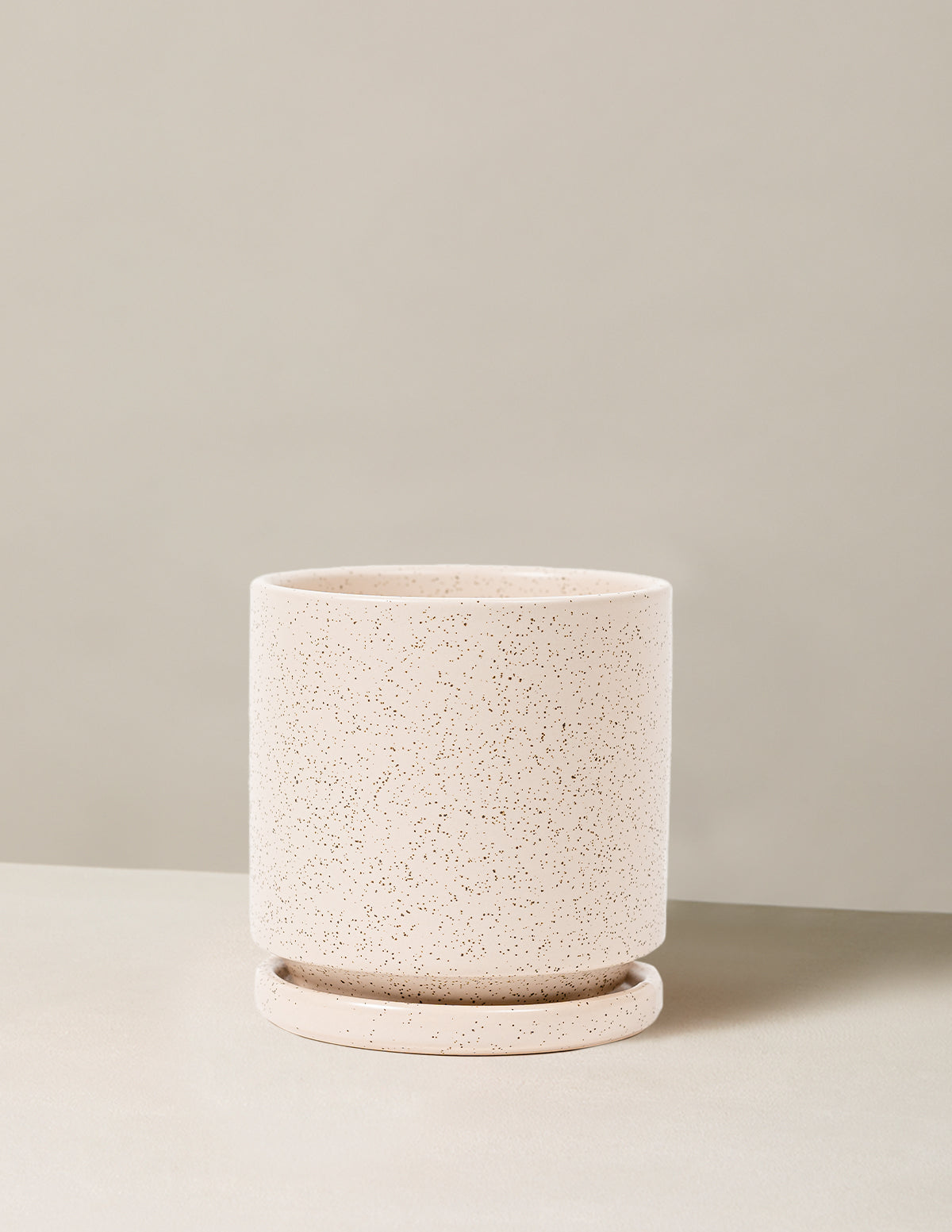 bundle | 6 in. | White Sesame