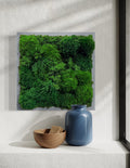 Small Preserved Living Wall