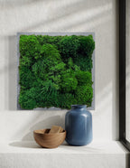 Small Preserved Living Wall