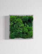 Small Preserved Living Wall