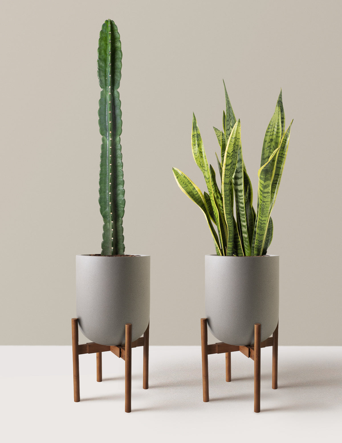 Large Set & Forget Duo