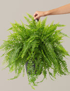 bundle | Large | Grow Pot