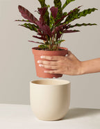 Grant Ceramic Planter