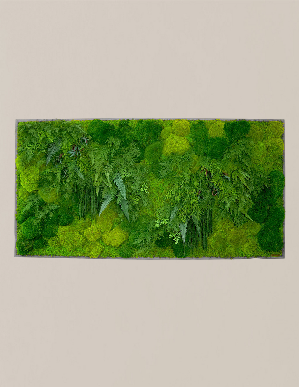 Large Preserved Living Wall