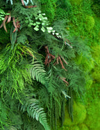 Giant Preserved Living Wall