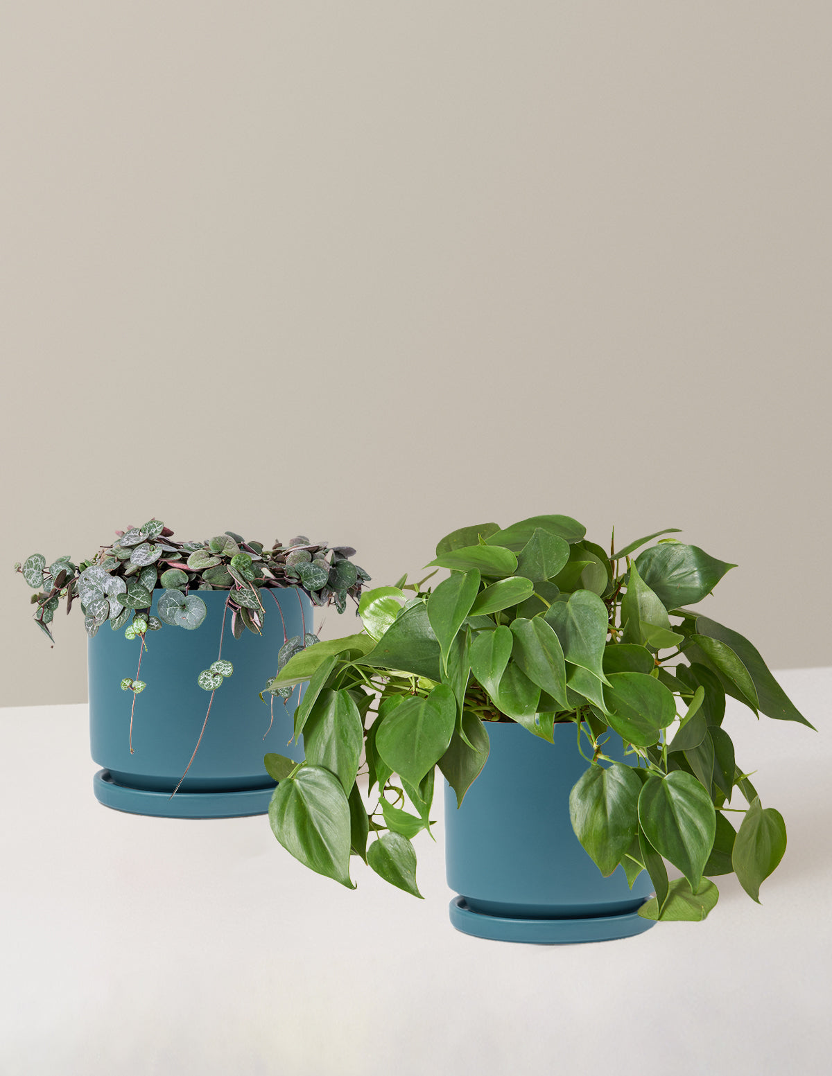 bundle | Medium | Isabella | Antique Teal