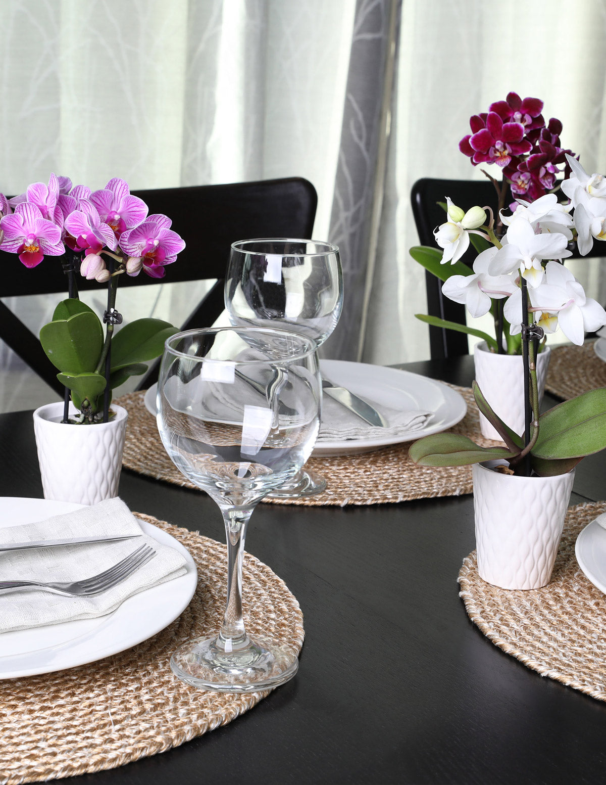 Mega Mini Orchid Party Pack, 20
