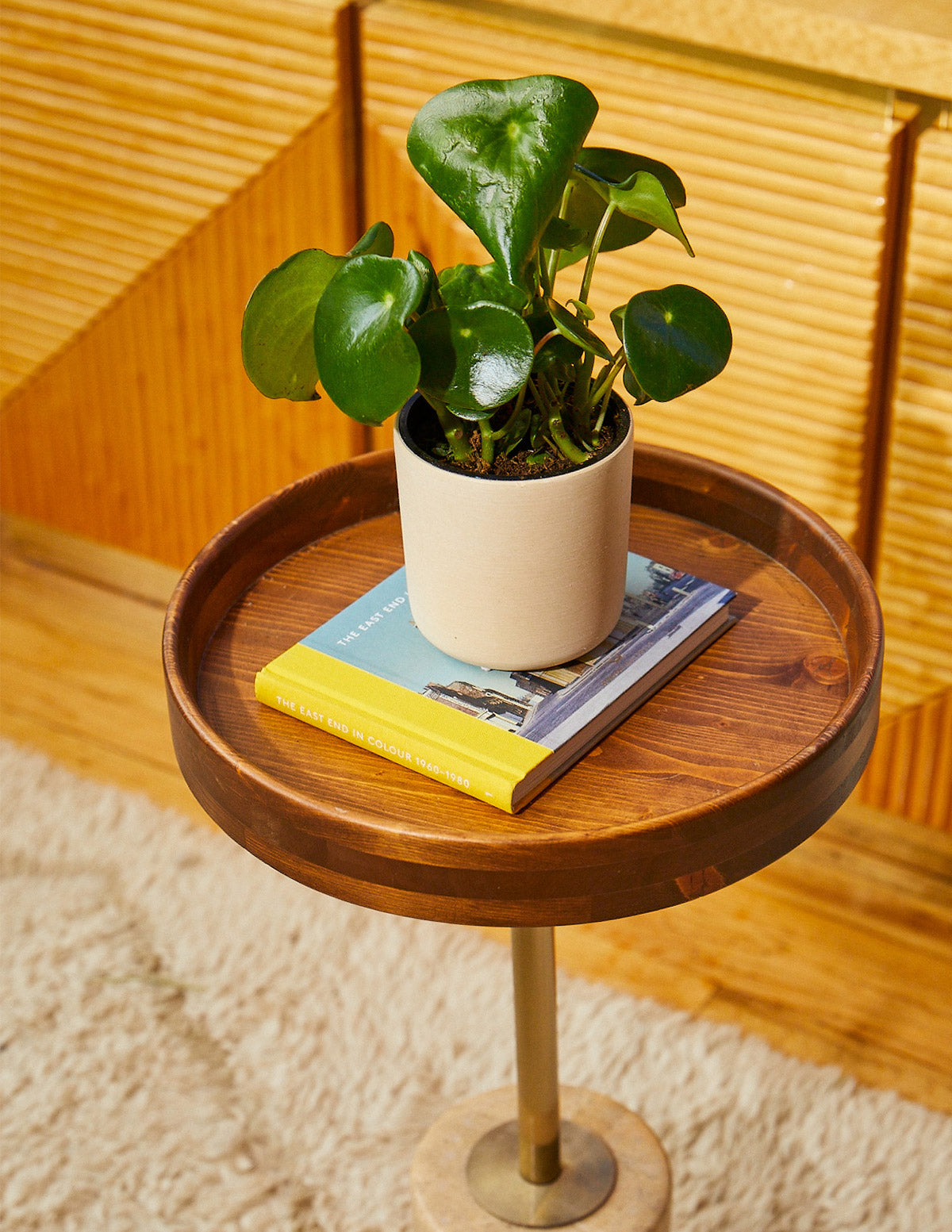 files/the-sill_peperomia-raindrop-upcycled-cream_gallery-all_all_01.jpg