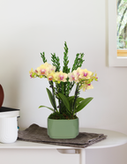Small Double Orchid