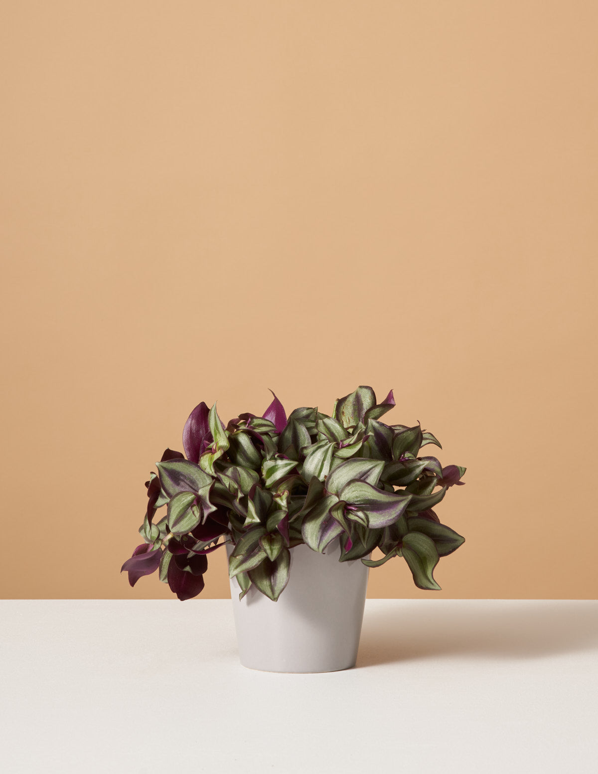 bundle | Small | Marianne | Grey